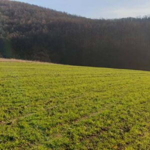 plac na Kosmaju 94 ara blizu Renew Concept kompleksa