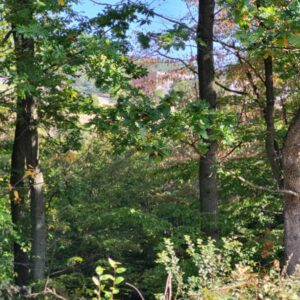 Plac na Kosmaju 60 ari građevinskog zemljišta