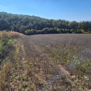 Plac na Kosmaju okružen lepom prirodom 86 ari