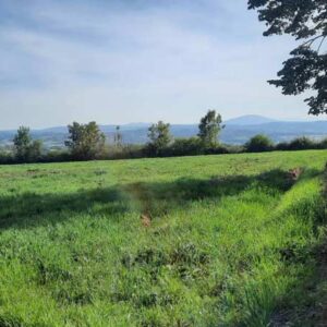 plac okružen zelenilom pogled na kosmaj i bukulju