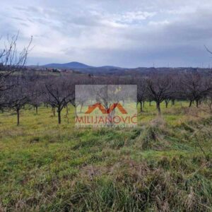 Prostran plac u Sibnici okružen prirodom sa blagom padinom i građevinskim zemljištem, idealan za investiciono ulaganje i izgradnju tipskih kuća i etno sela.