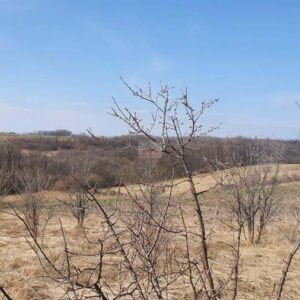 Plac u Drlupi građevinsko zemljište 96 ari