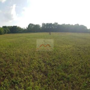 plac u selu Nemenikuće na obroncima planine Kosmaj 98 ari