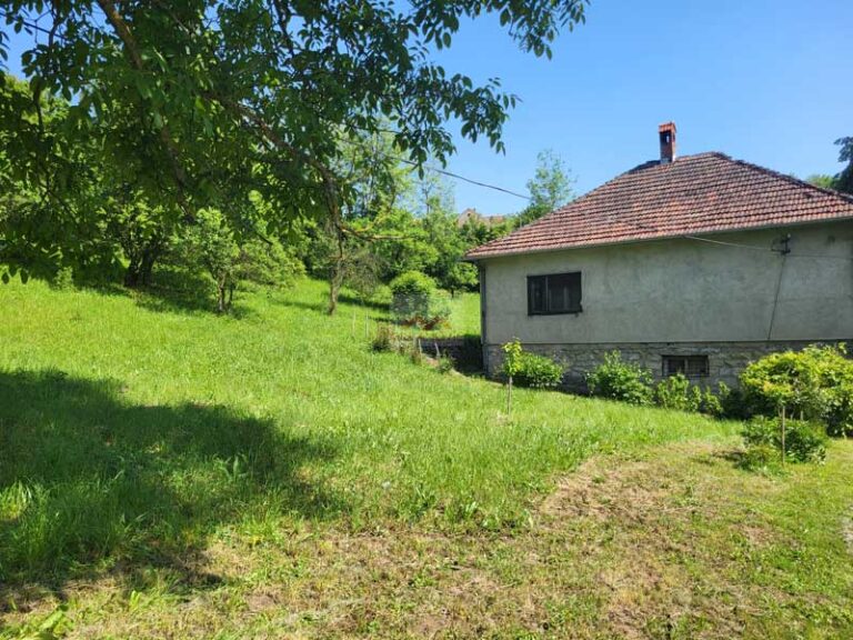 mali-pozarevac-10
