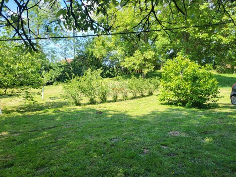 mali-pozarevac-18