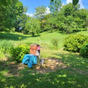 plac u Malom Požarevcu 55 ari pun zelenila drvo u dvorištu