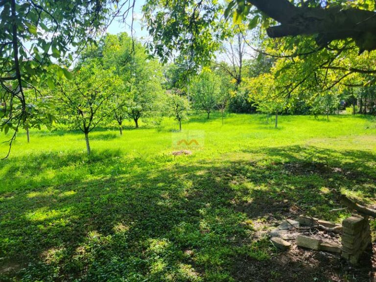 mali-pozarevac-3