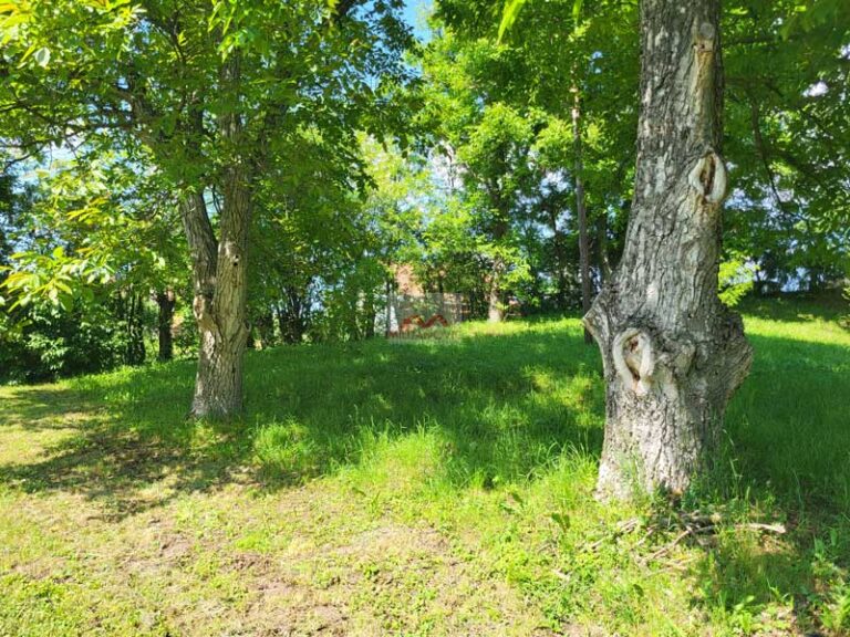 mali-pozarevac-9