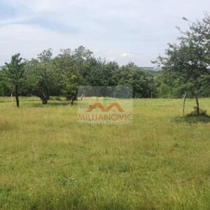 plac u Rogači na Kosmaju 10 ari