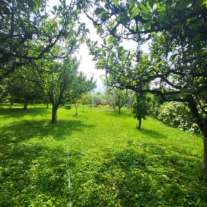 plac 16a kuće u Slatini