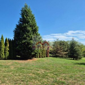 dvorište kuće u selu Popović