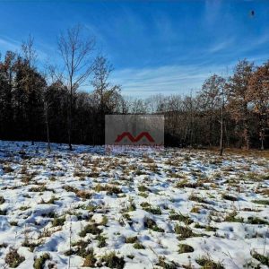 Plac 19a u naselju Babe okružen šumom